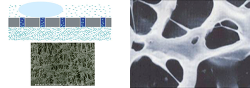 Micro-Porous