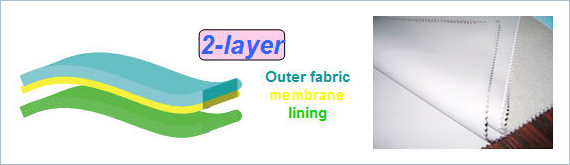 2-layer
