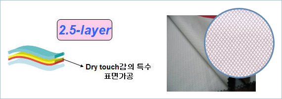 2.5-layer